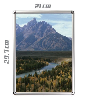 1353 Cornice 21x30 snap frame