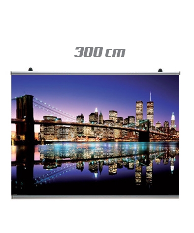 1295 Coppia profili poster 300
