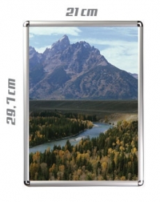 1353 Cornice 21x30 snap frame