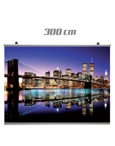 1295 Coppia profili poster 300