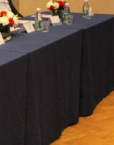0119 Tovaglia conferenza tavolo 140x80