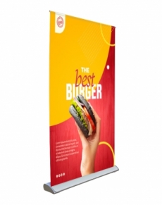 1029 Roll-Up DELUXE PRO 100